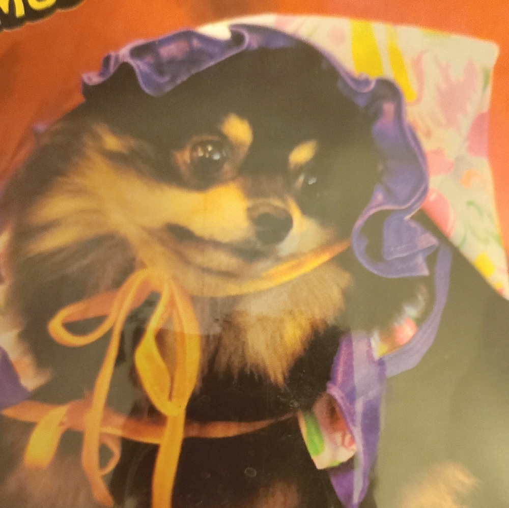 PET CLOWN COSTUME